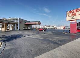 フィドラーズ イン 写真