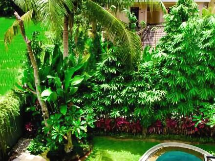 プリ コボット 写真