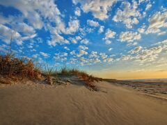 マリオッツ サーフウォッチ 写真