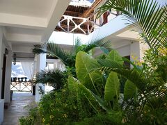 サハリ ザンジバル 写真