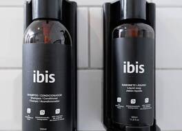 イビス フォス ド イグアス 写真