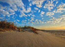 マリオッツ サーフウォッチ 写真