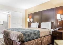 エコノ ロッジ コロシアム 写真