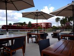 ゴールデン チューリップ ブラジリア アウヴォラーダ 写真