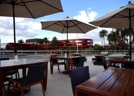 ゴールデン チューリップ ブラジリア アウヴォラーダ 写真