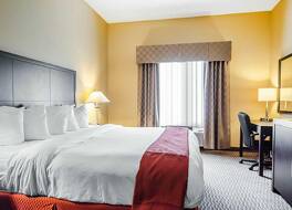 Spark by Hilton La Grange 写真