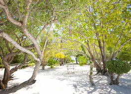 LUX* South Ari Atoll Resort & Villas 写真
