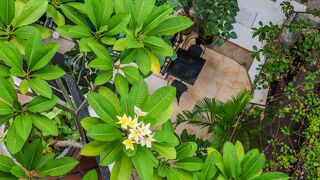 ラ ローズ スイーツ