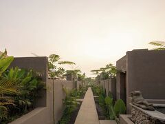 ウブド マス グランピング ラグジュアリー テント 写真