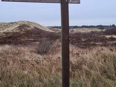 ヴァン デル ヴァルク ホテル テクセル 写真