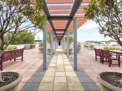 ネスト チッペンデール 写真