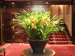 プロフィルホテルズ コペンハーゲン プラザ 写真