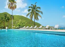 The Mount Nevis Hotel 写真