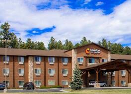 コンフォート イン アンド スイーツ カスター 写真