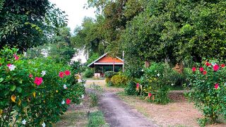 The Country Lake Nature Lodge Hotel