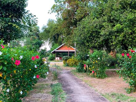 The Country Lake Nature Lodge Hotel 写真