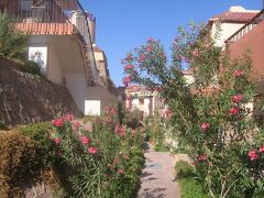 キャサリン プラザ ホテル 写真