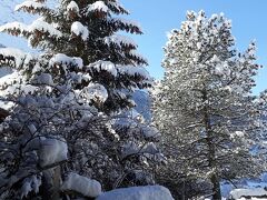 チューゲン 写真