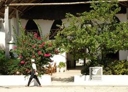 ダウ イン 写真