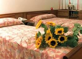 Hotel Valpolicella International 写真