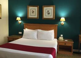 Amarante Pyramids Hotel 写真