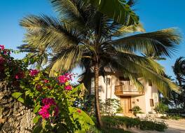 ザンジブルー 写真