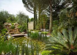 メゾン ピック 写真