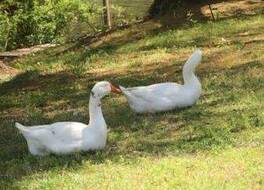 リバー プレイス イン 写真