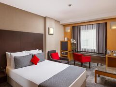 ニッポン ホテル 写真