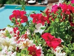 オーロラ リゾート ＆ スパ 写真