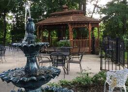 ギンゴウ ツリー イン 写真