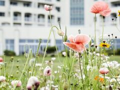 ヘビチ ホテル アンド リゾート チェジュ 写真