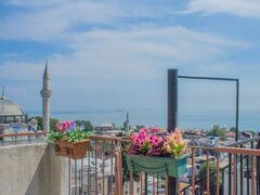 チューリップ ハウス 写真