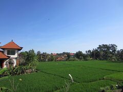 ダナサリ ホームステイ 写真