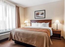 コンフォート イン & スイーツ アトカ - ミリントン 写真