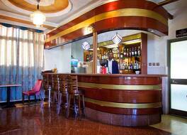 ヘラ アディス ホテル 写真