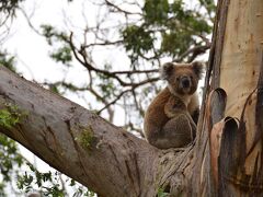 ベストウェスタン アポロ ベイ モーテル 写真