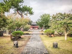 ロベロホテル済州 写真