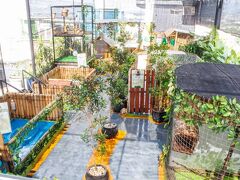 ホテル フォルトゥナグランデ ジェンベル 写真