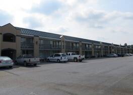 アメリコート エクステンデッド ステイズ 写真