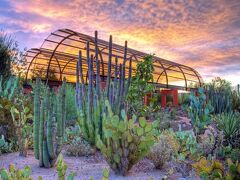 クラウンプラザ フェニックス エアポート PHX バイ IHG 写真