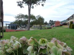 スワンシー モーター イン 写真