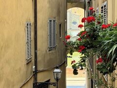 ホテル チェステリ 写真