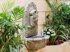 ディゼンコフ スイーツ 写真