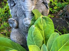 ジンジャーヒル ファーム リトリート 写真