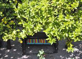 ポーソ ドス アンジョス 写真