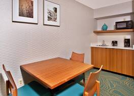 SpringHill Suites by Marriott Chicago Southwest at Burr Ridge/Hinsdale 写真