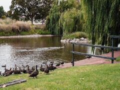 St Francis Winery Resort 写真