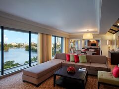 シナモン グランドコロンボ 写真