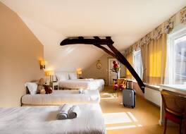 Mercure Moulins Centre - Hôtel de Paris 写真